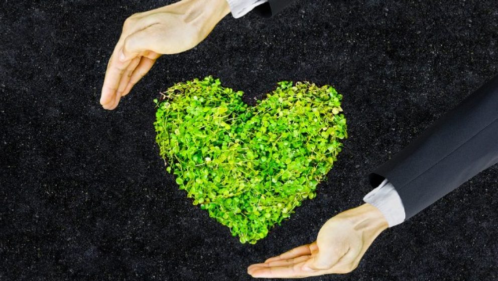 Micro greens in the shape of a love heart with hands trying to hold it.