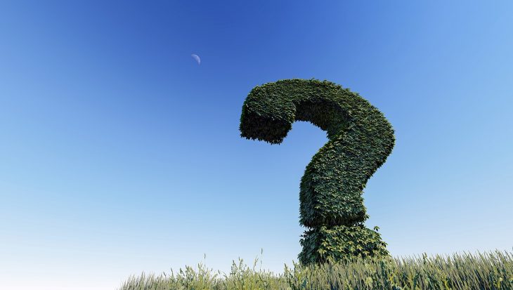 Question Mark Hedge