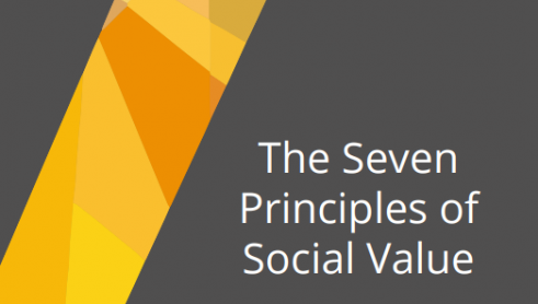 SVI Seven Principles of Social Value